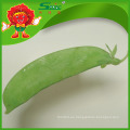 Orgánico Mange Tout Snow Peas